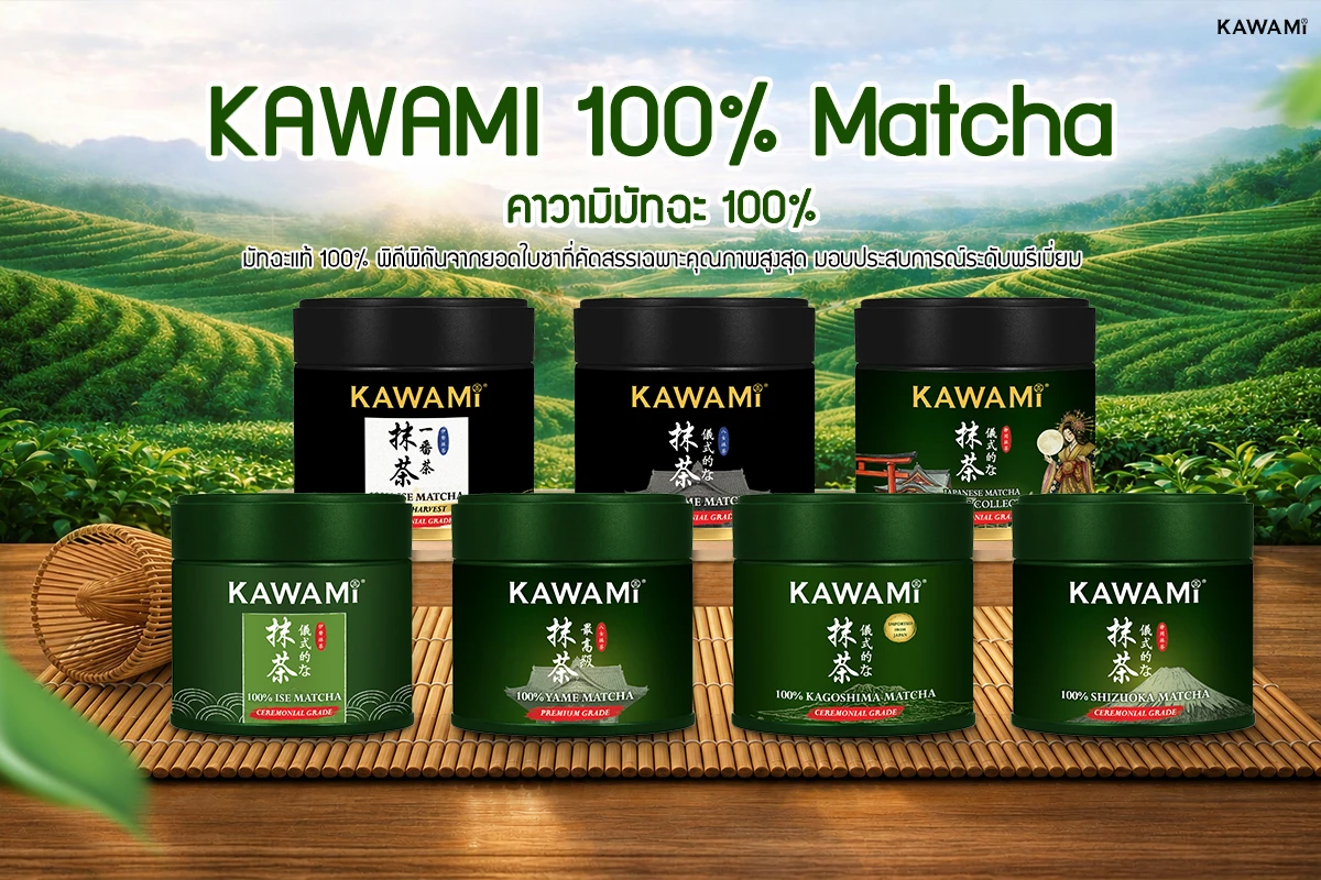 คาวามิมัทฉะ 100% แบบกระปุก